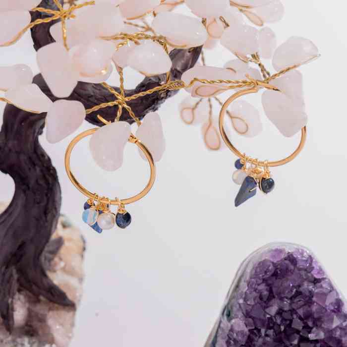 Earrings Hoops With Charms