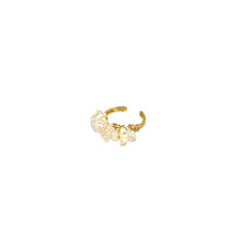 Load image into Gallery viewer, Ring Mini Polish Natural Stones