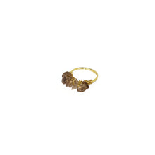 Load image into Gallery viewer, Ring Mini Polish Natural Stones
