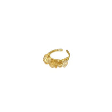 Load image into Gallery viewer, Ring Mini Polish Natural Stones