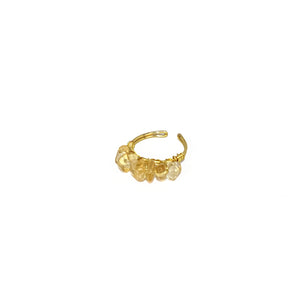 Ring Mini Polish Natural Stones