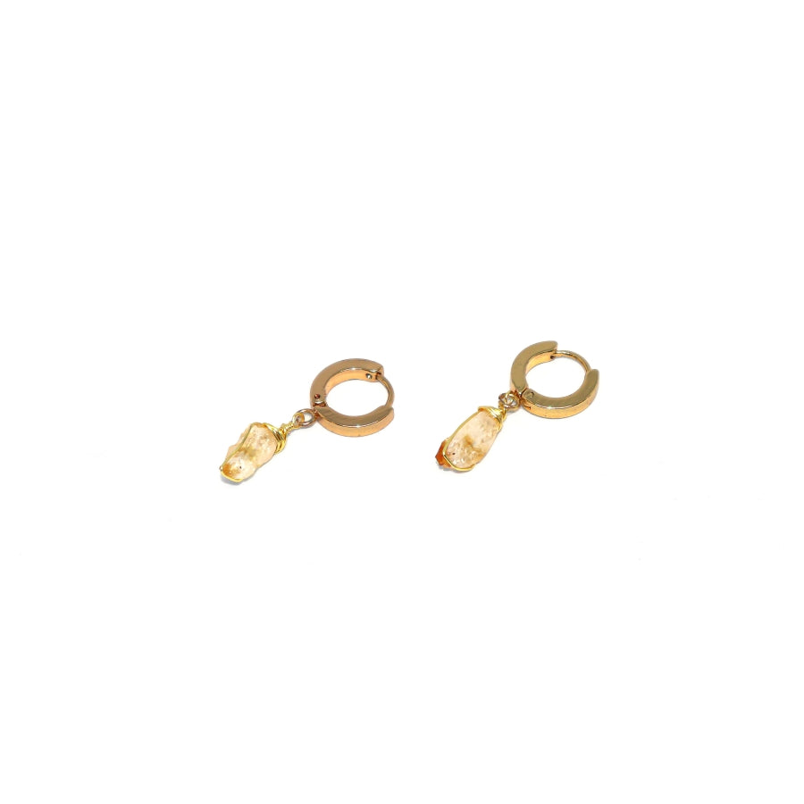 Earrings Thick Hoops with One Stone
