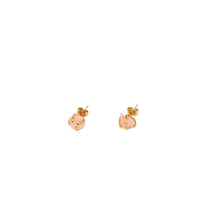 Load image into Gallery viewer, Earrings Spider Studs