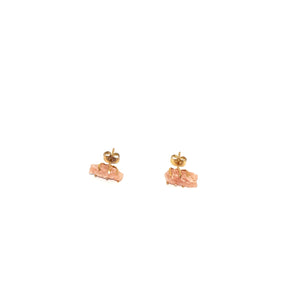 Earrings Spider Studs