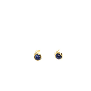 Earrings Studs Beads