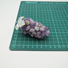 Load image into Gallery viewer, Crystal Grapes