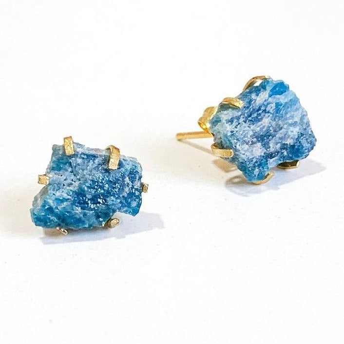 Earrings Spider Studs