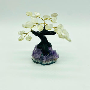 Crystal Trees X Small