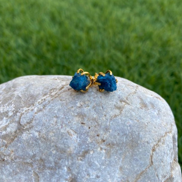 Earrings Spider Studs