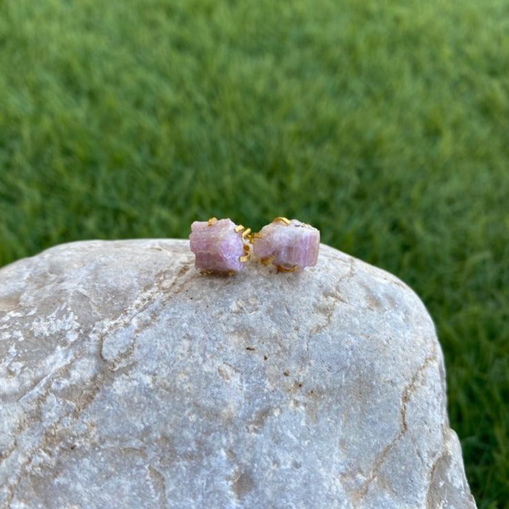 Earrings Spider Studs