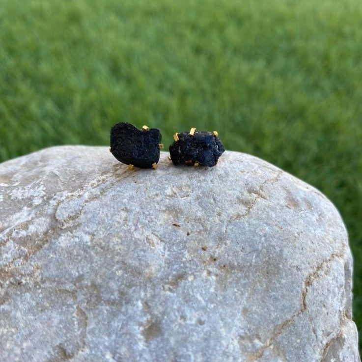 Earrings Spider Studs