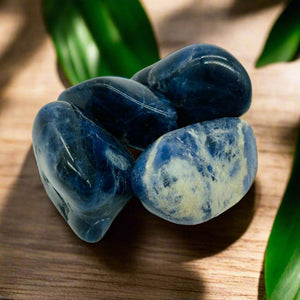 Tumbled Stone Polish Sodalite