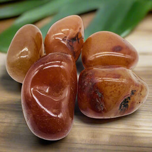 Tumbled Stone Polish Carnelian