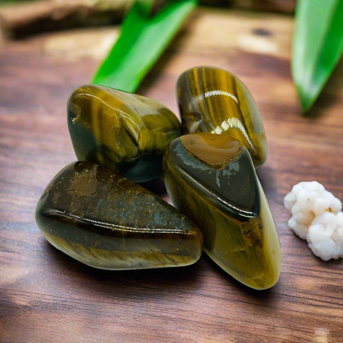 Tumbled Stone Polish Tiger Eye